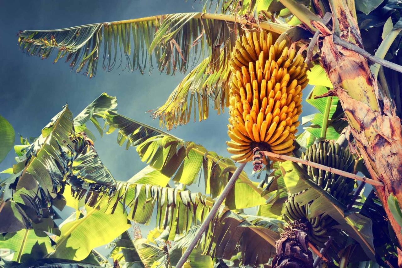 Bright Studio فونشال المظهر الخارجي الصورة